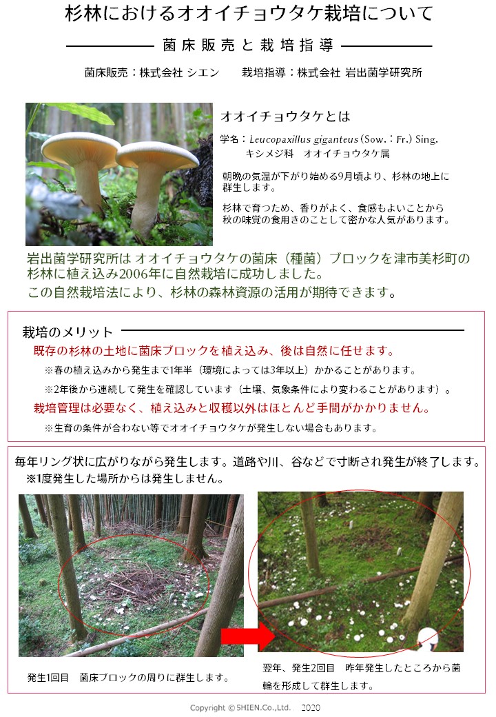 菌学
